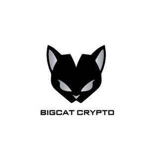 Логотип канала bigcatcryptochannel