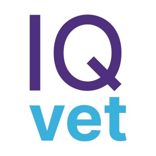 Логотип канала iq_vet