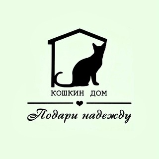 Логотип канала koshkindom_amur