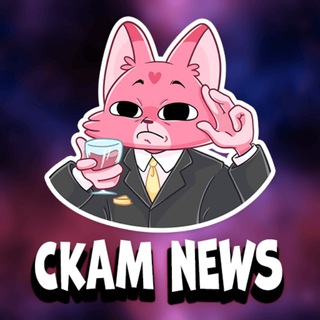 Логотип scamnews12