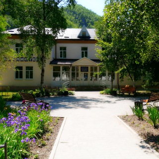 Логотип канала library_dalnegorsk