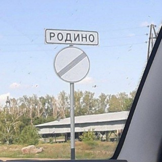 Логотип канала podino