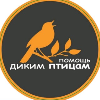 Логотип канала birdhelp