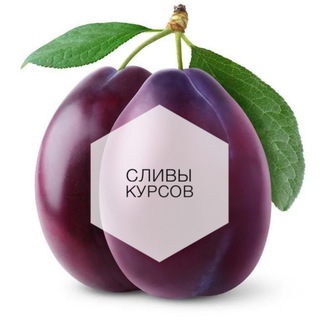 Логотип sliv1kyrs