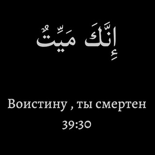 Логотип канала porazmyshlyay
