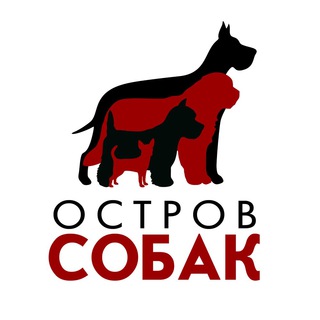 Логотип канала ostrovsobakirk