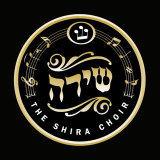 Логотип theshirachoir