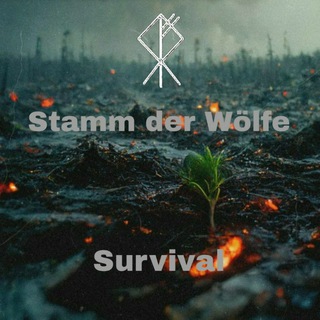 Логотип канала sdwsurvival