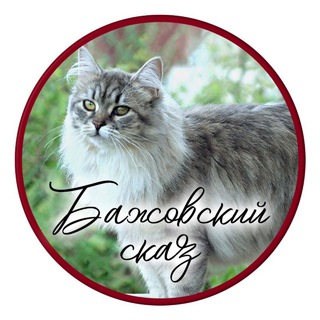 Логотип канала catsibcom