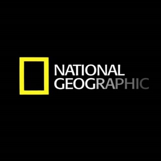 Логотип natgeo_tg