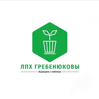 Логотип канала lphgrebenyukov