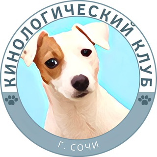 Логотип канала kinologsochi