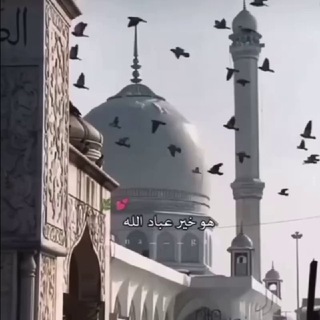 Логотип seera_mohammad