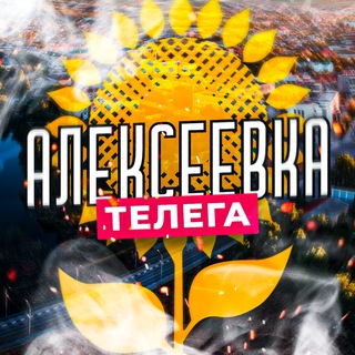 Логотип канала alekseevkatg