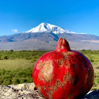 Логотип armenia_national