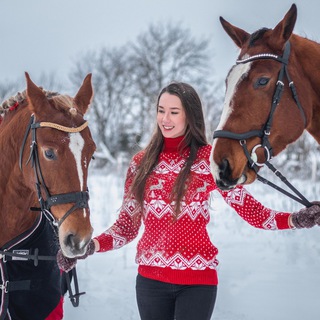 Логотип канала theequestrianstyle