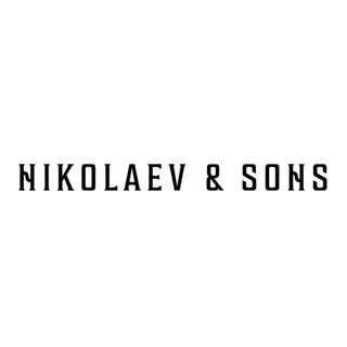 Логотип канала nikolaevandsons