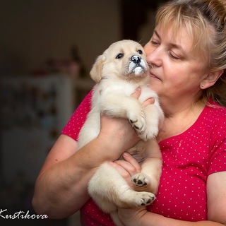 Логотип канала labradormoy