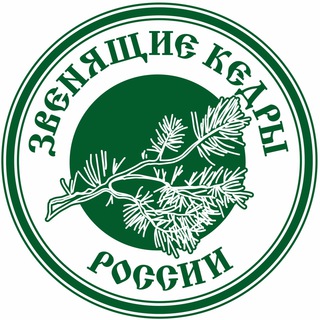 Логотип канала Megrellc