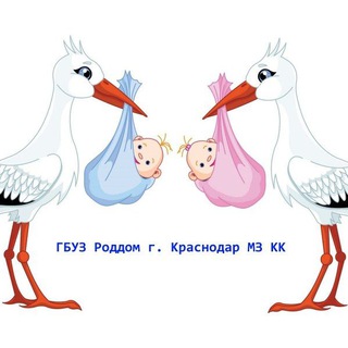 Логотип канала roddomkrasnodar