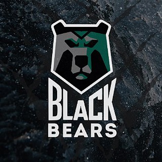 Логотип канала blackbearshockey