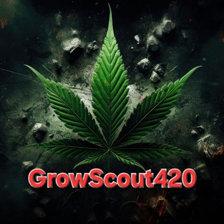 Логотип канала growscout420