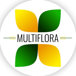 Логотип канала multiflora_group