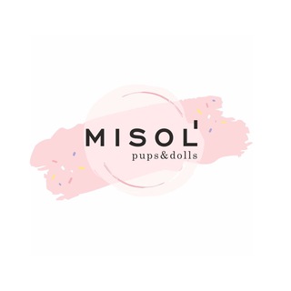 Логотип misolshop