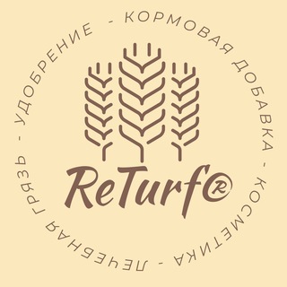 Логотип returf2023