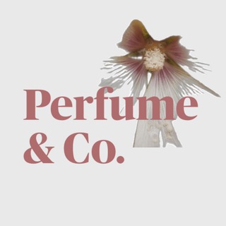 Логотип канала perfumeandco