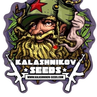 Логотип kalashnikov_seeds_russia