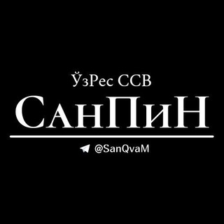 Логотип канала sanqvam