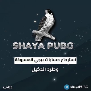 Логотип канала shayapubg