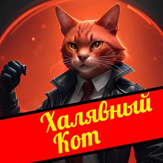 Логотип канала halavacat