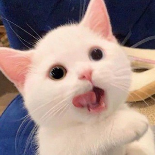 Логотип lolalvk