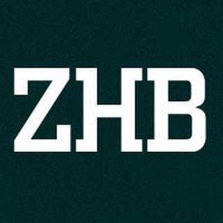 Логотип канала zhb_records