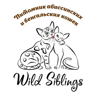 Логотип канала Wildsiblings