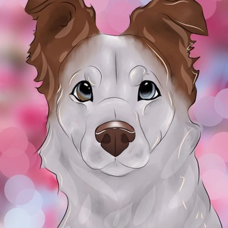 Логотип bagel_jackspamfb