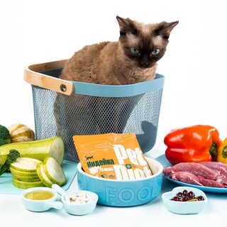 Логотип канала catcuisine_rus