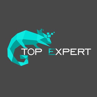 Логотип канала topexpert_uz