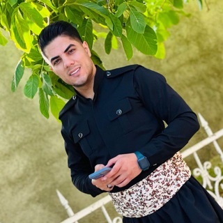 Логотип masoud_bizhandi