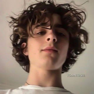 Логотип канала t1m0thychalamet