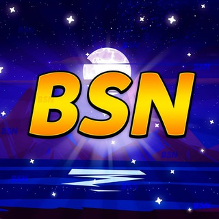 Логотип канала bsn_chat