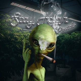 Логотип stayhighuk