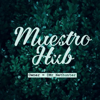 Логотип канала maestr0_hub