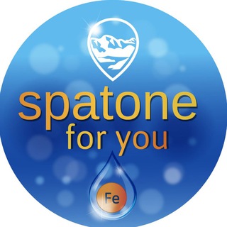 Логотип spatoneforyou