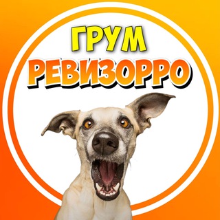 Логотип канала chogroomer_mk