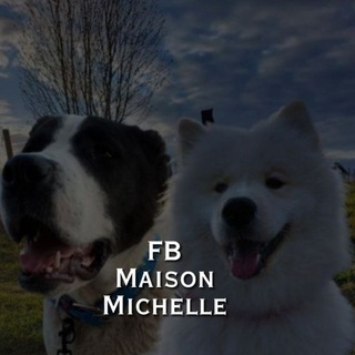 Логотип fbmaisonmichelle