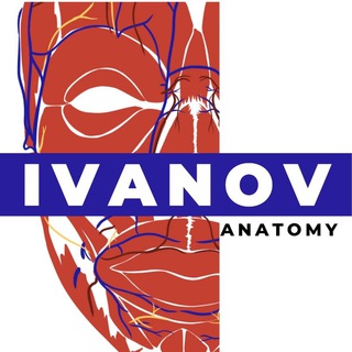 Логотип канала ivanovanatomy