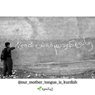 Логотип канала our_mother_tongue_is_kurdish